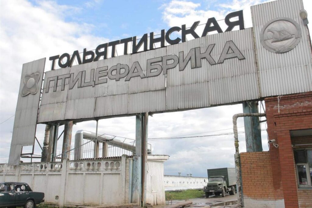 Банкротство тольяттинской птицефабрики завершили