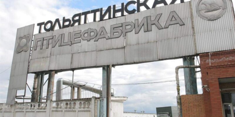 Банкротство тольяттинской птицефабрики завершили