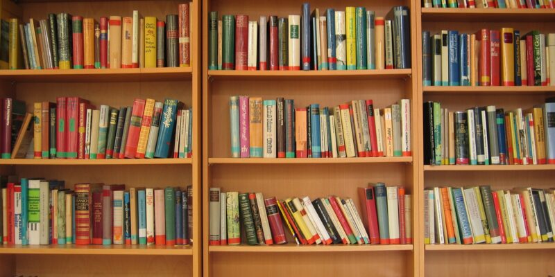 В Тольятти установят 50 боксов для жителей, желающих передать книги в сельские библиотеки