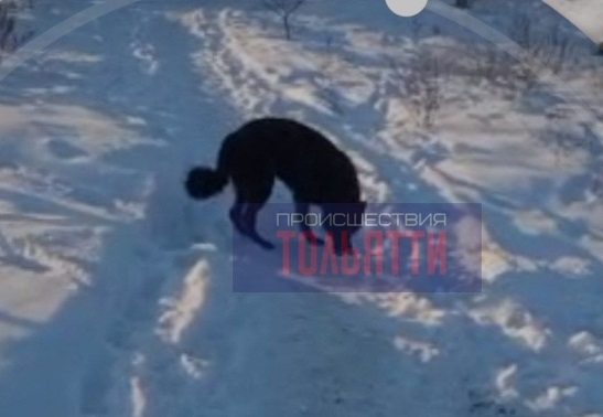 В Тольятти собака напала на девочку, которую спас очевидец