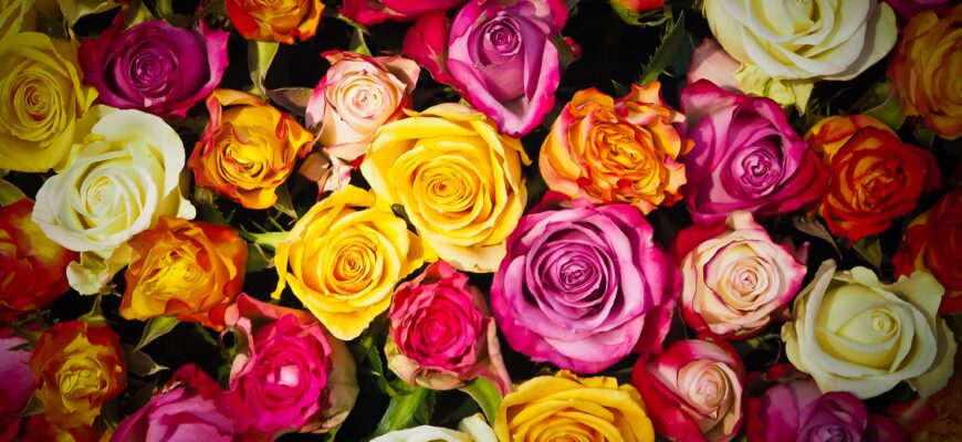 Житель Тольятти украл для возлюбленной 100 роз и выбросил их в мусорку
