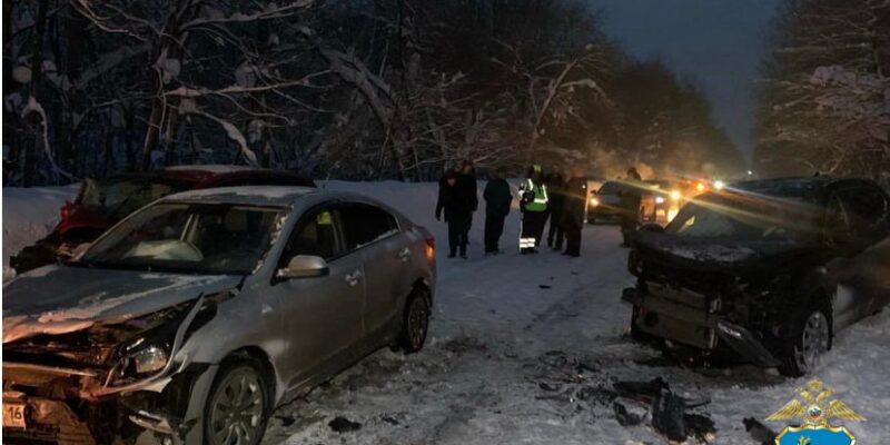 Из-за упавшего дерева на трассе под Тольятти произошли два ДТП