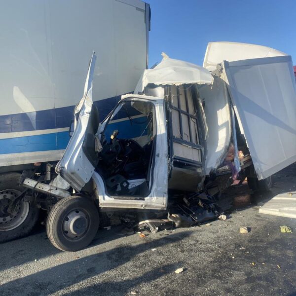 В Самарской области в столкновении с тремя тягачами погиб водитель «Газели»
